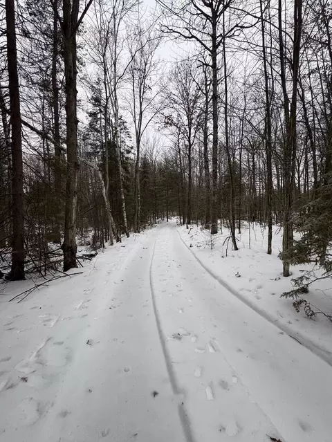 S Loxley Road, Houghton Lake, MI 48629