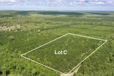 Wallin Road, Thompsonville, MI 49683