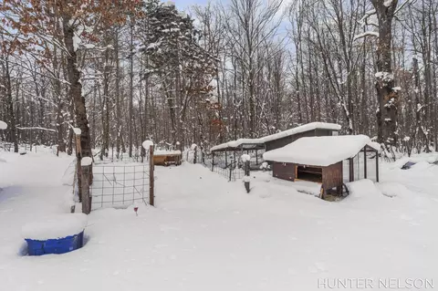 2627 N Evergreen Dr, White Cloud, MI 49349 photo 30