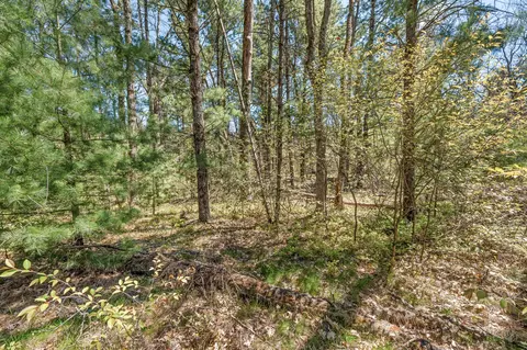 01 Bradby Blvd, Baldwin, MI 49304 photo 6