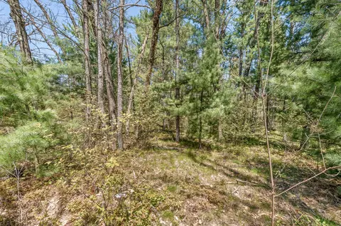 01 Bradby Blvd, Baldwin, MI 49304 photo 5