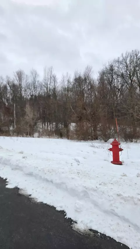 0 Ann Arbor Rd, Jackson, MI 49201 photo 8