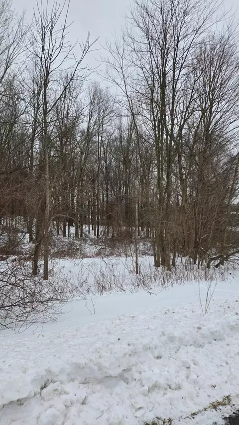0 Ann Arbor Rd, Jackson, MI 49201 photo 4