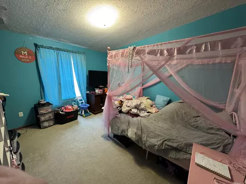 125 Coxon St, Concord, MI 49237 photo 12