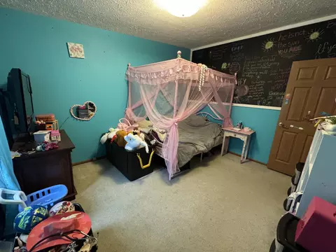125 Coxon St, Concord, MI 49237 photo 13