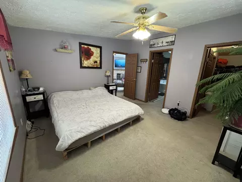 125 Coxon St, Concord, MI 49237 photo 8