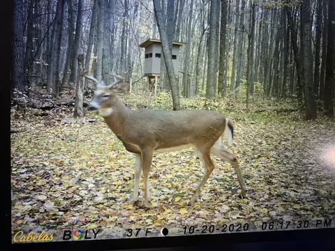 7808 E 48th St, Chase, MI 49623 photo 23