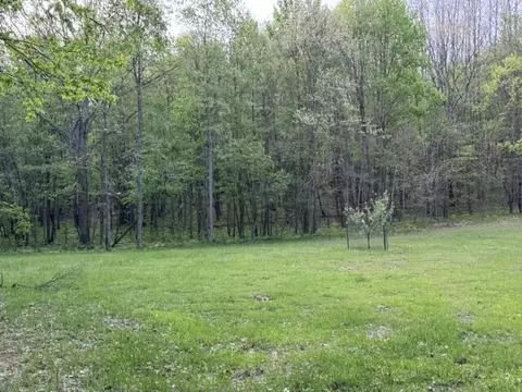 7808 E 48th St, Chase, MI 49623 photo 8