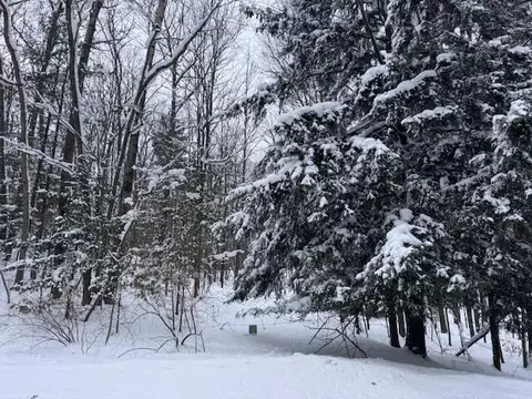 Frank Smith Rd, Chase, MI 49623 photo 2