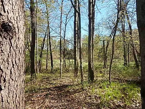561 W Leonard Rd, Leonard, MI 48367 photo 29
