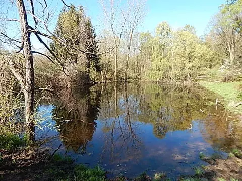 561 W Leonard Rd, Leonard, MI 48367 photo 9