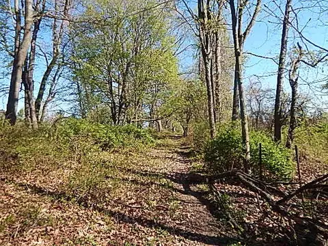 561 W Leonard Rd, Leonard, MI 48367 photo 32