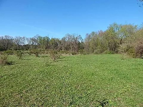 561 W Leonard Rd, Leonard, MI 48367 photo 11