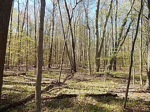 561 W Leonard Rd, Leonard, MI 48367 photo 27
