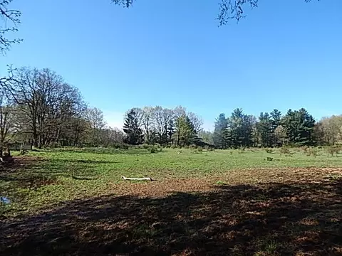 561 W Leonard Rd, Leonard, MI 48367 photo 2