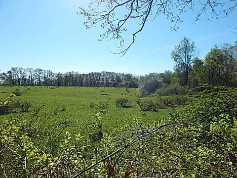 561 W Leonard Rd, Leonard, MI 48367 photo 34
