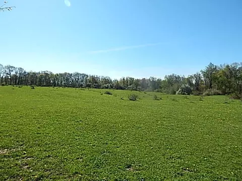 561 W Leonard Rd, Leonard, MI 48367 photo 35