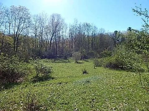 561 W Leonard Rd, Leonard, MI 48367 photo 22