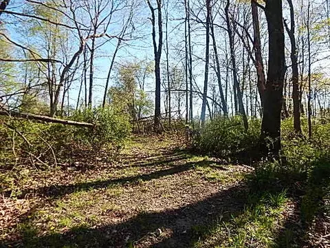 561 W Leonard Rd, Leonard, MI 48367 photo 20
