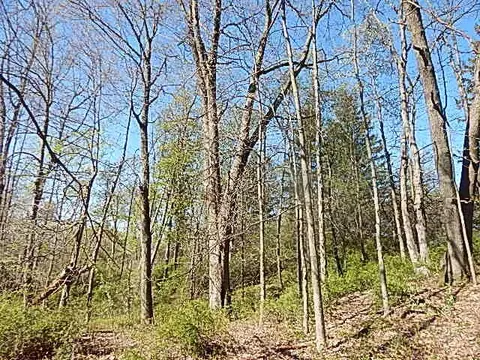 561 W Leonard Rd, Leonard, MI 48367 photo 21
