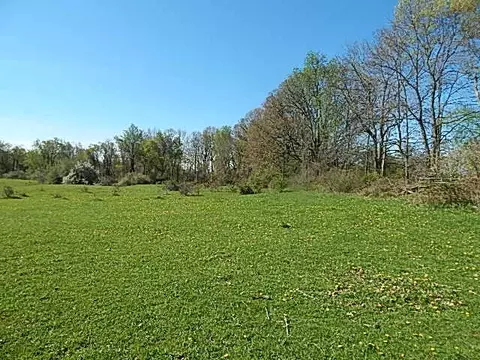 561 W Leonard Rd, Leonard, MI 48367 photo 36