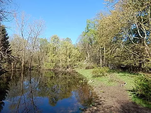 561 W Leonard Rd, Leonard, MI 48367 photo 10