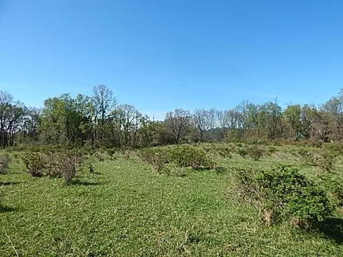 561 W Leonard Rd, Leonard, MI 48367 photo 13