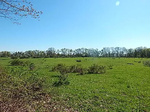 561 W Leonard Rd, Leonard, MI 48367 photo 33