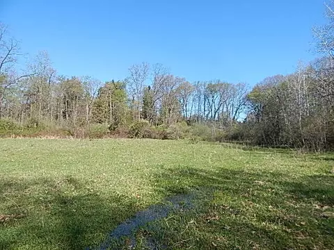 561 W Leonard Rd, Leonard, MI 48367 photo 24