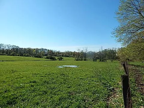 561 W Leonard Rd, Leonard, MI 48367 photo 5