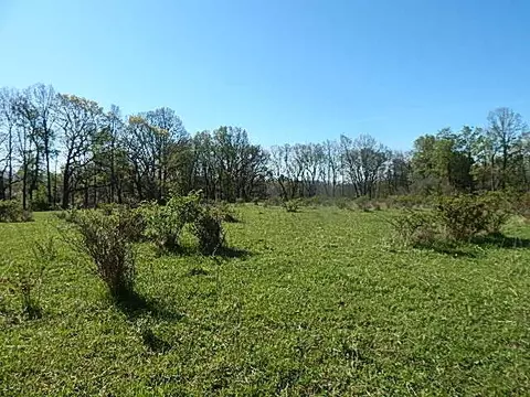 561 W Leonard Rd, Leonard, MI 48367 photo 12