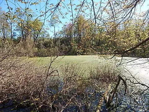 561 W Leonard Rd, Leonard, MI 48367 photo 30