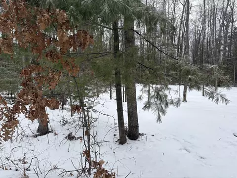 river road, Atlanta, MI 49709