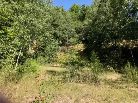 lot S 8 9 S Riverview Dr, Hesperia, MI 49421