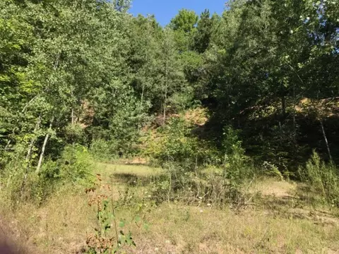 891011 S Riverview Dr, Hesperia, MI 49421