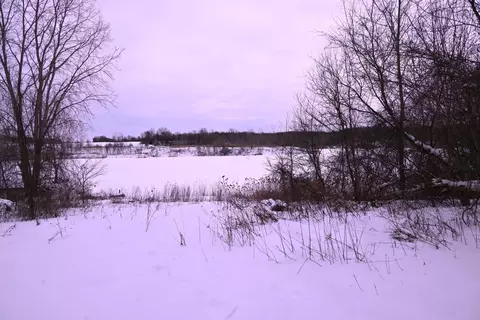 0 E Howe Rd, Dewitt, MI 48820 photo 19