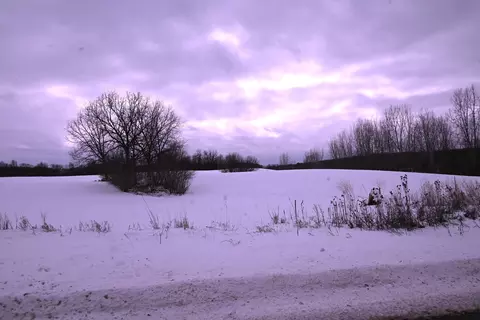 0 E Howe Rd, Dewitt, MI 48820 photo 24