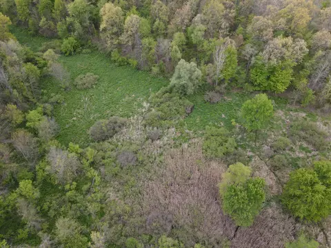 0 E Howe Rd, Dewitt, MI 48820 photo 32