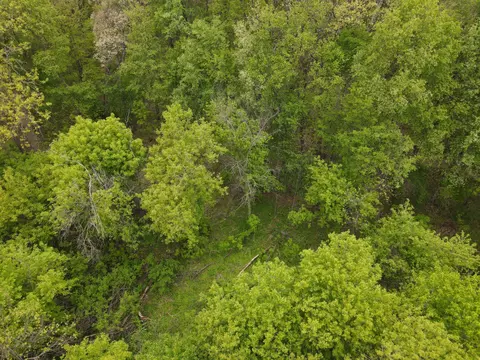 0 E Howe Rd, Dewitt, MI 48820 photo 17