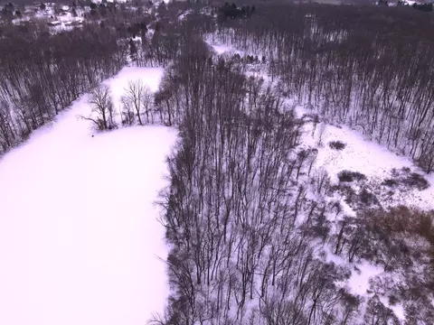 0 E Howe Rd, Dewitt, MI 48820 photo 3