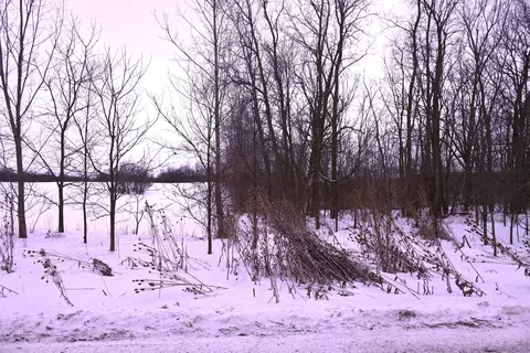 0 E Howe Rd, Dewitt, MI 48820 photo 22