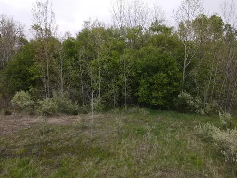 0 E Howe Rd, Dewitt, MI 48820 photo 42
