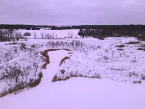 0 E Howe Rd, Dewitt, MI 48820 photo 9