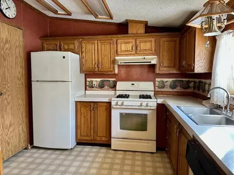 3131 S 164th Ave, Hesperia, MI 49421 photo 3