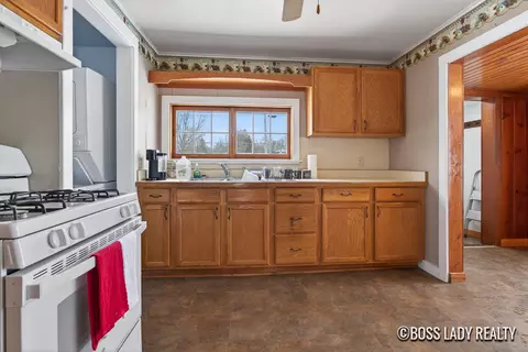 204 S Grove St, Stanton, MI 48888 photo 16