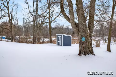 204 S Grove St, Stanton, MI 48888 photo 43