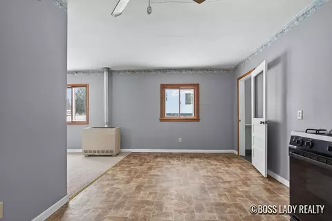 204 S Grove St, Stanton, MI 48888 photo 35