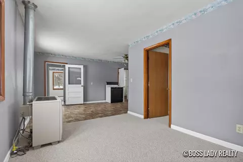 204 S Grove St, Stanton, MI 48888 photo 33