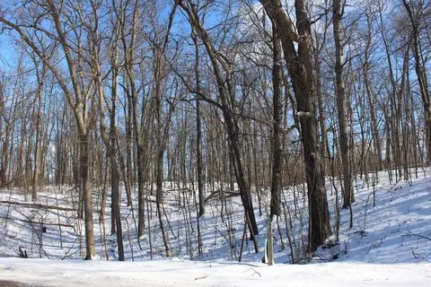 9571 N Waldron Rd, Jerome, MI 49249 photo 10