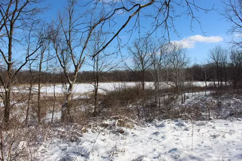 9571 N Waldron Rd, Jerome, MI 49249 photo 2